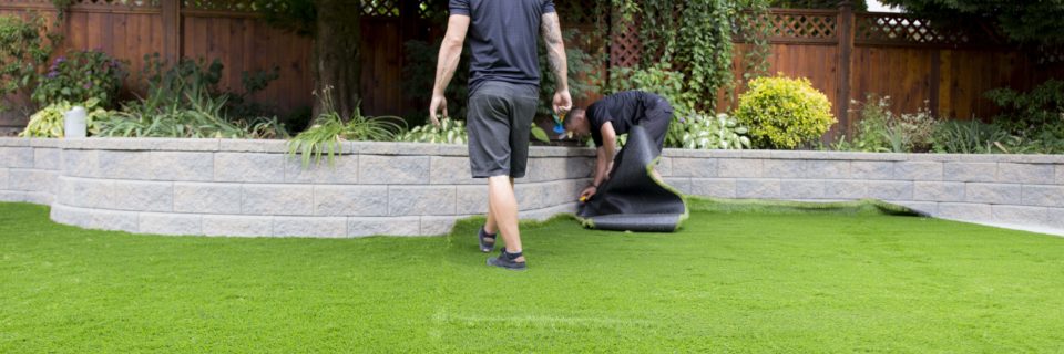 Enjoy a beautiful lawn year  round with Crown Turf